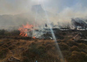 حريق في مزبود وعاصون