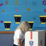 لبنان يناشد المجتمع الدولي لتمويل إقتراع المغتربين