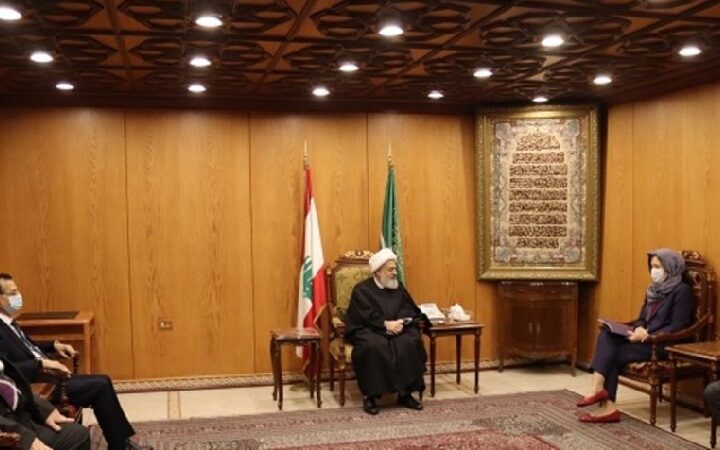 دوروثي شيا في المجلس الإسلامي الشيعي الأعلى