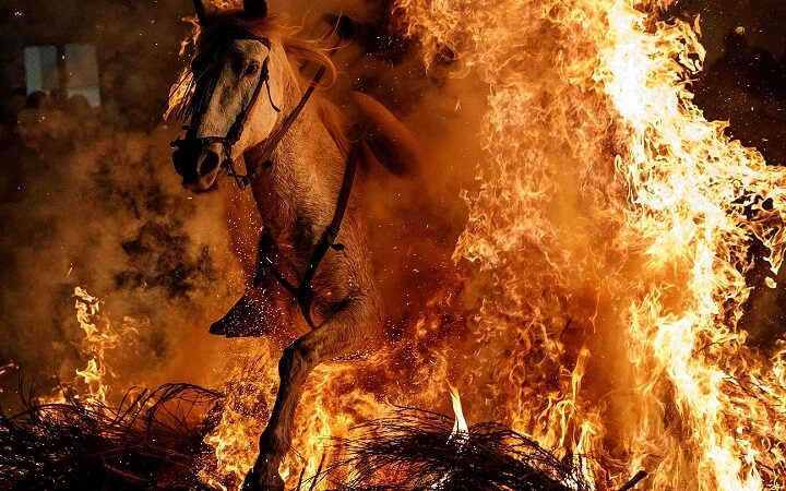 خيول تقفز عبر ألسنة النيران