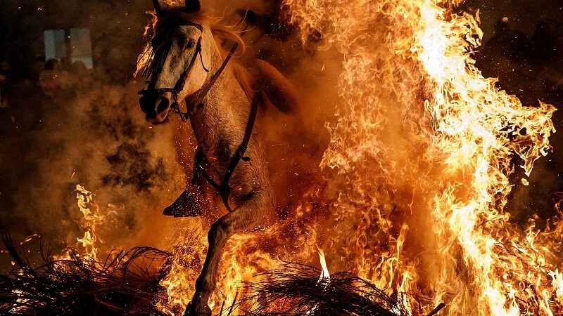 خيول تقفز عبر ألسنة النيران
