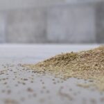 "إكتشاف" منشأة في البقاع تتسع لـ400 ألف طن من القمح!